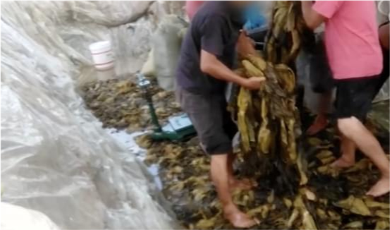 白象三分之一员工是残疾人，驰名商标再次出圈！